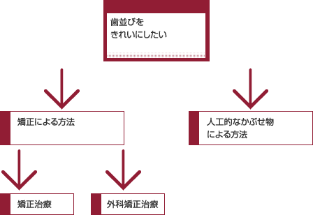 歯並びをキレイにしたい