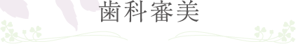 歯科審美